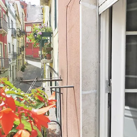 Marcos | 23, Cosy Center *